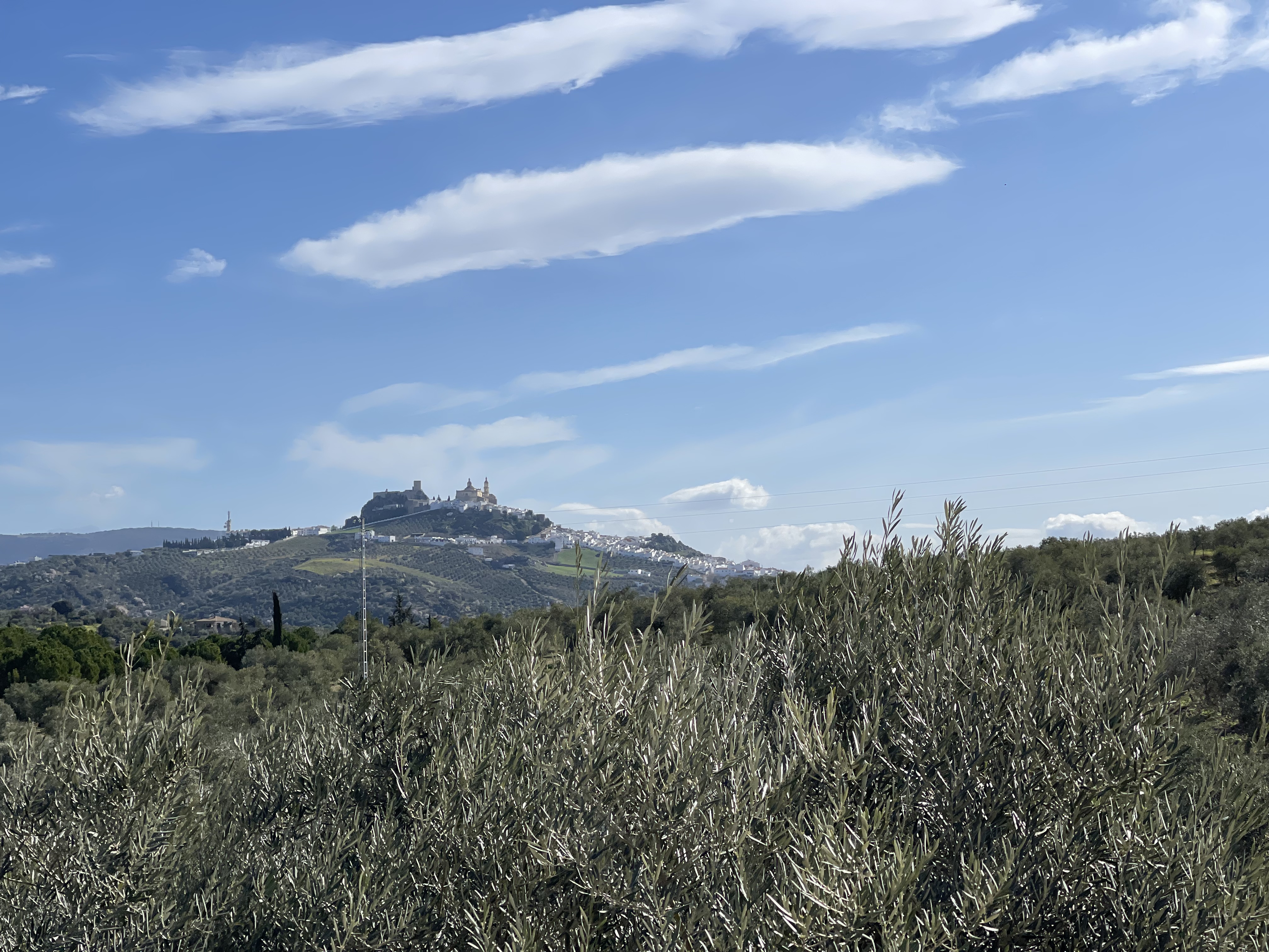 Qlistings - Finca De La Luci Country House Property Image