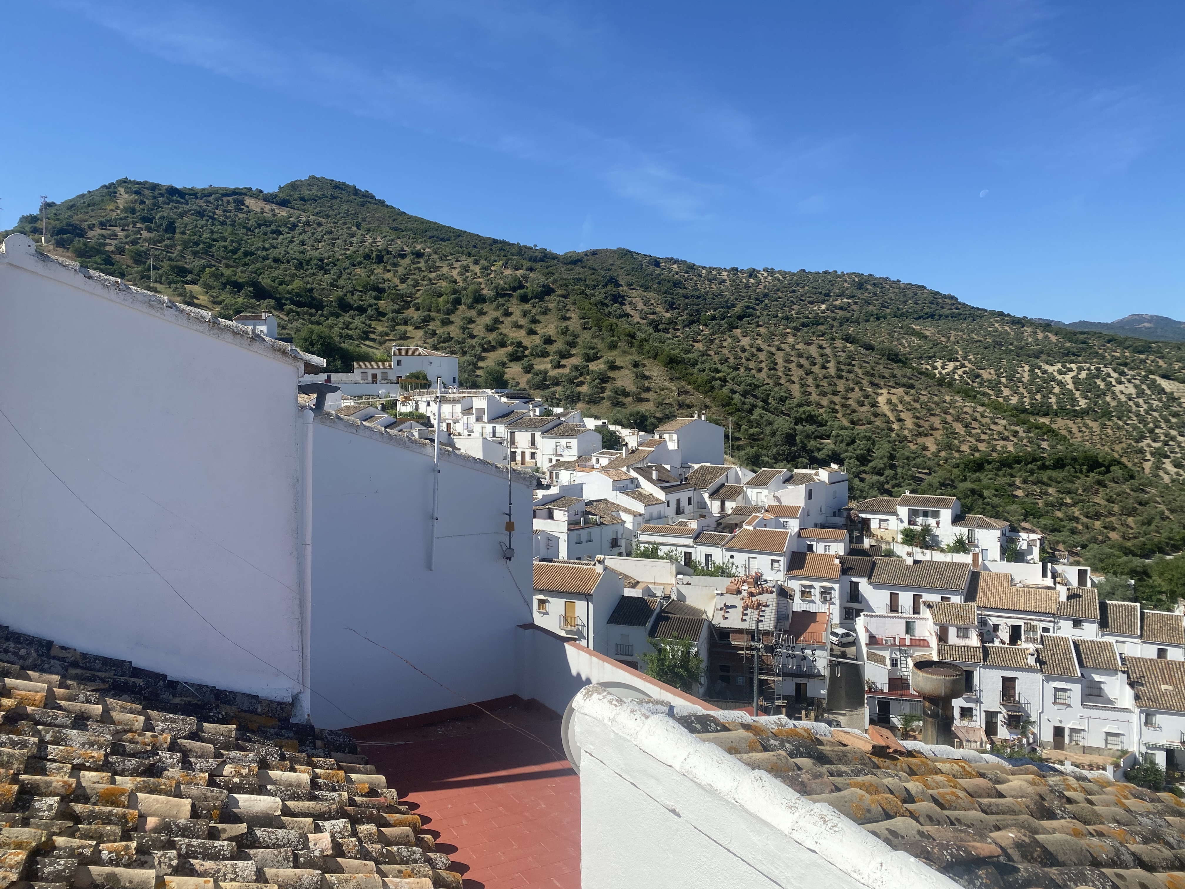 Qlistings - Andaluz Magic Townhouse Property Image