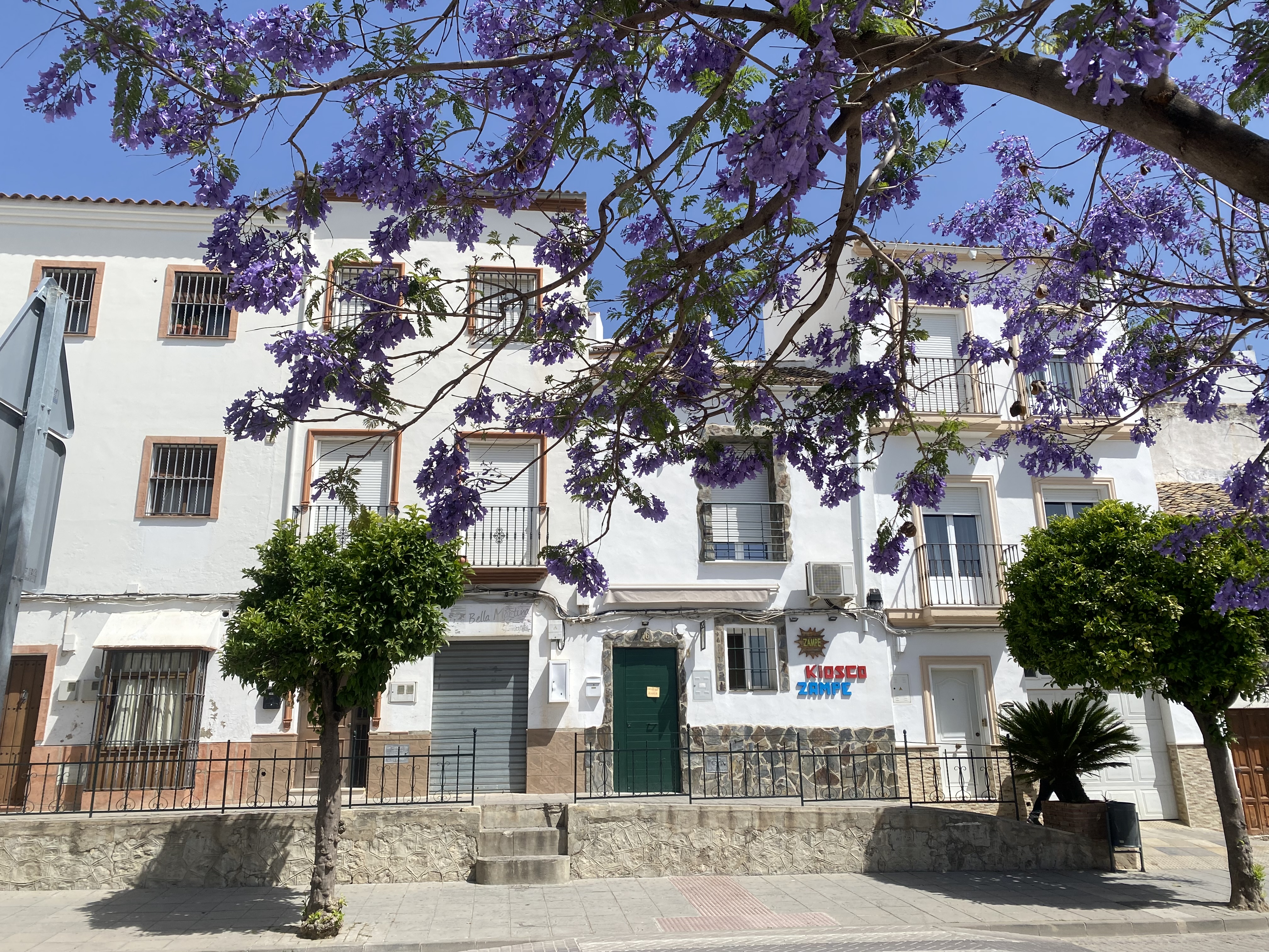 Qlistings - Jaquaranda Vista Residential & Commercial Property Image